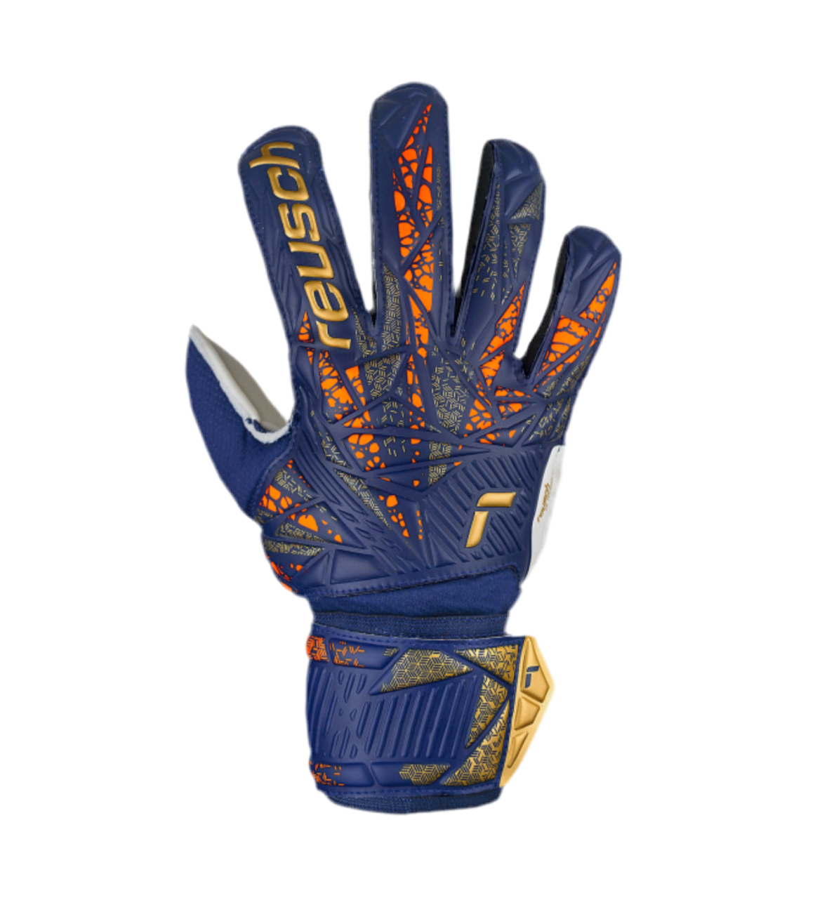 Attrakt Solid Premium Blue / Gold Semiprofesional