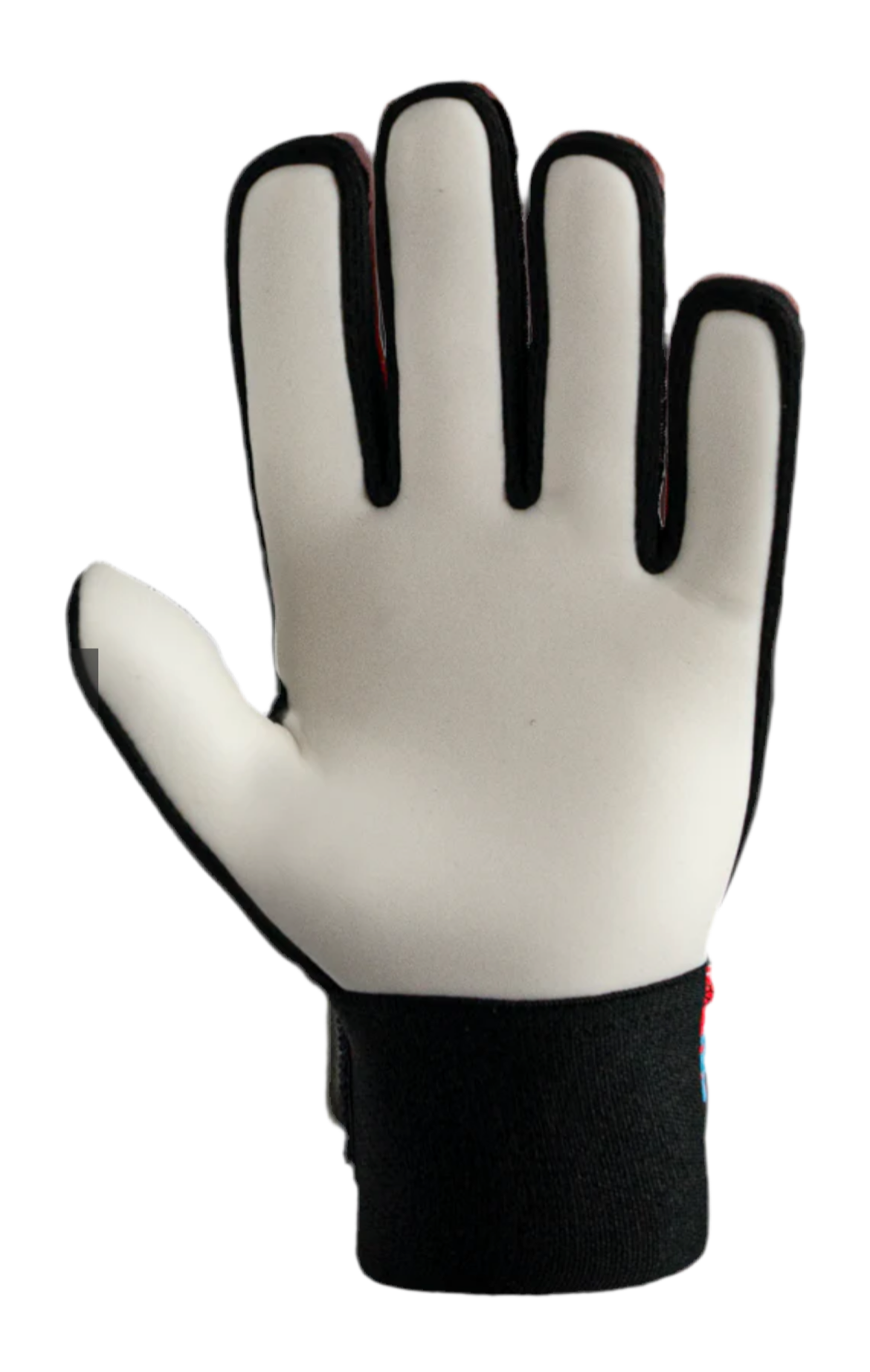 Attrakt Starter Solid Bright Red / Future Blue Juniors