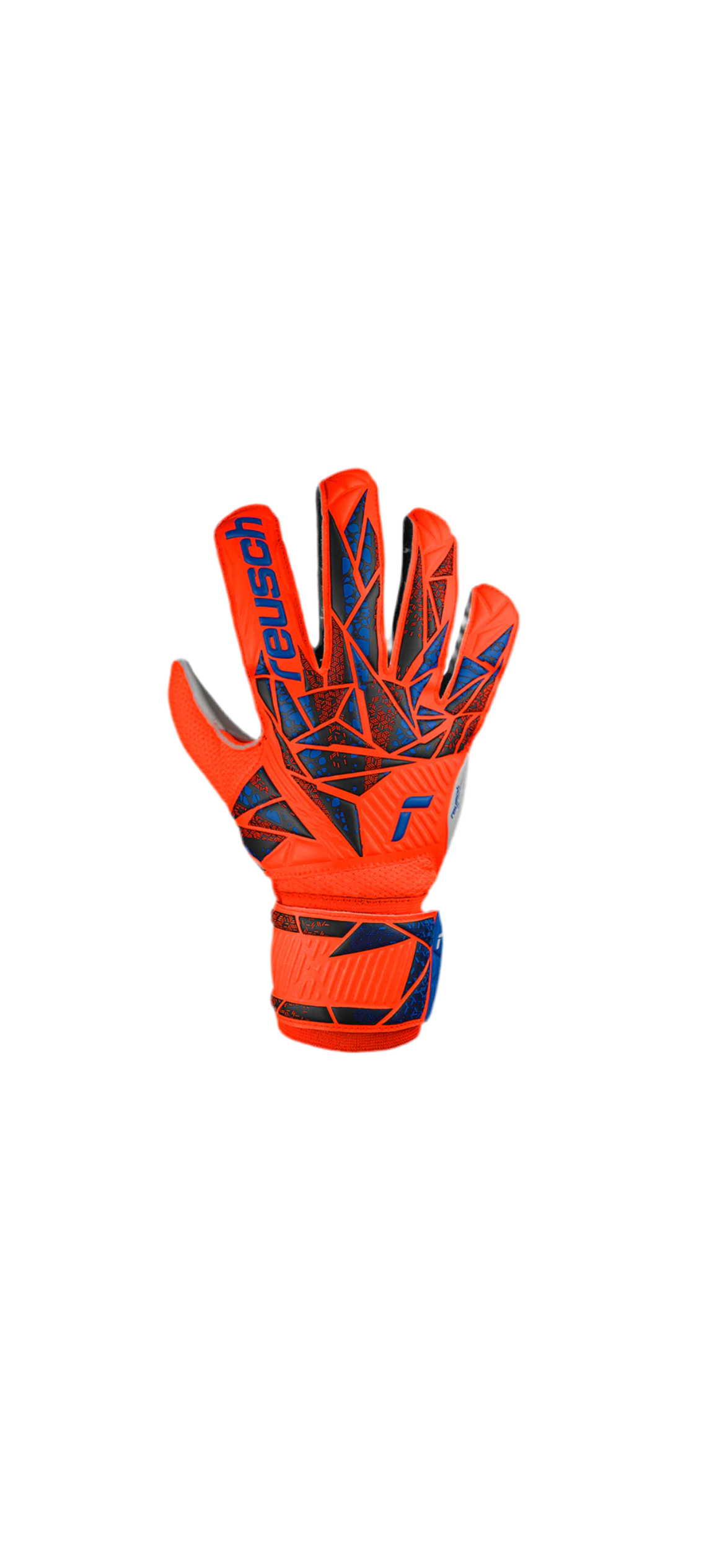 SOLID hyper orng-elec blue