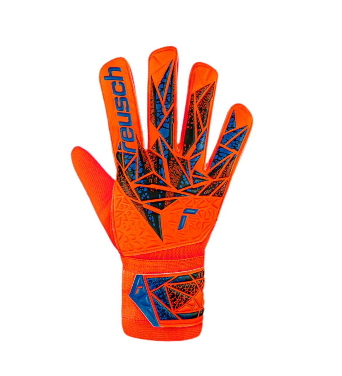 Attrakt Starter Solid Hyper Orgn / Elec Blue Juniors