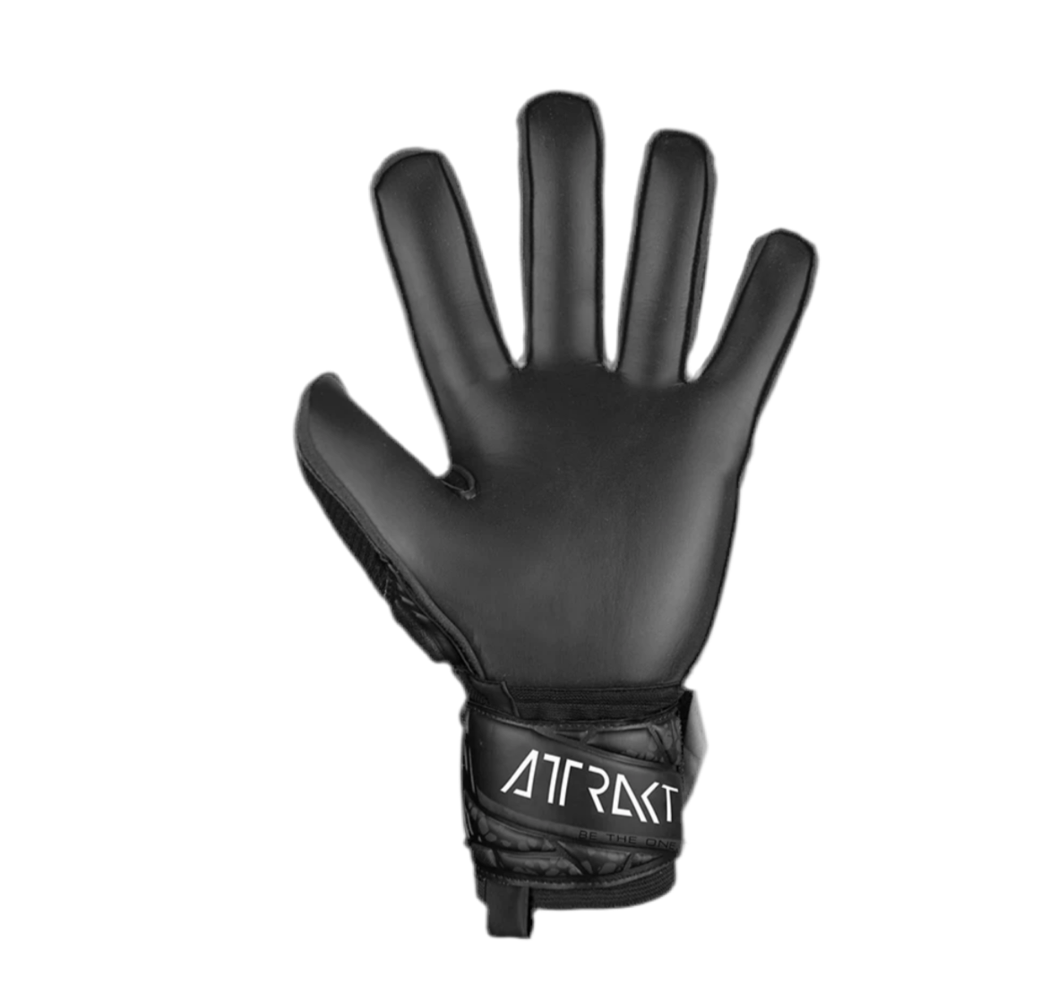 Attrakt Solid Black Semiprofesional