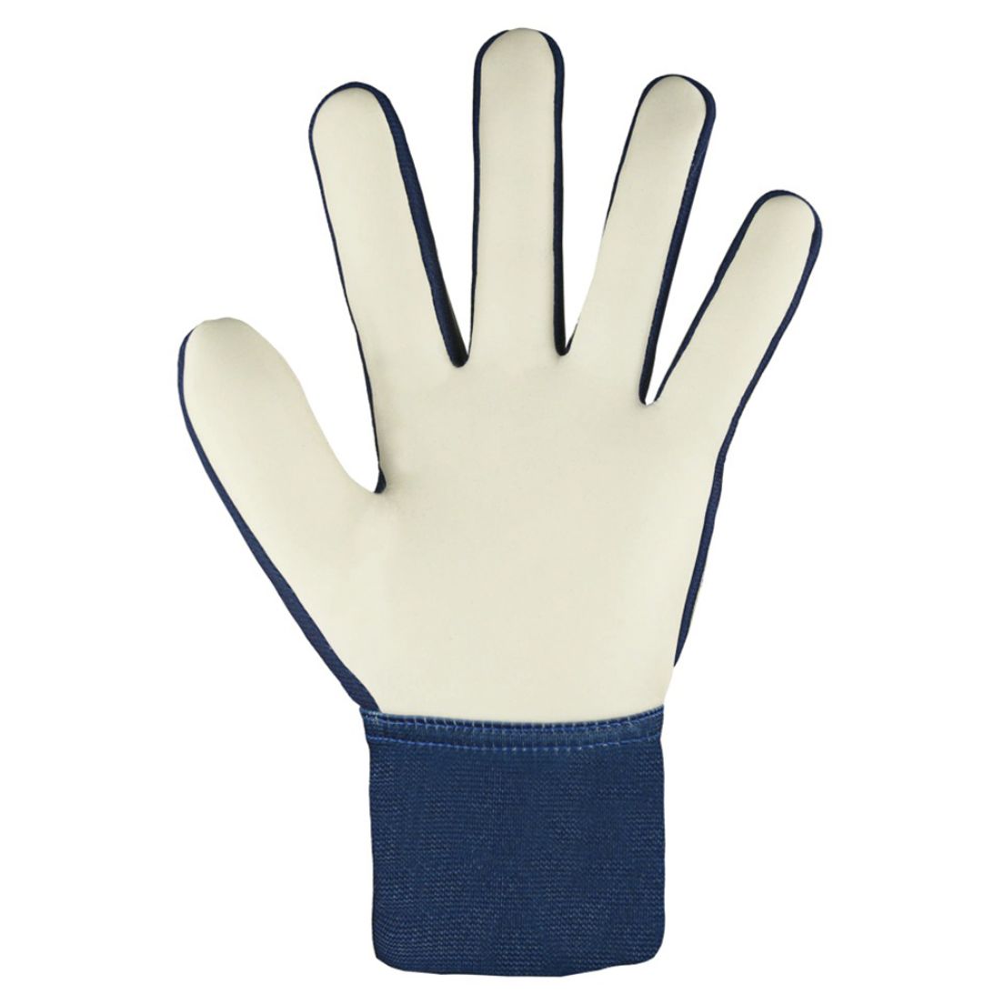 STARTER solid premium blue