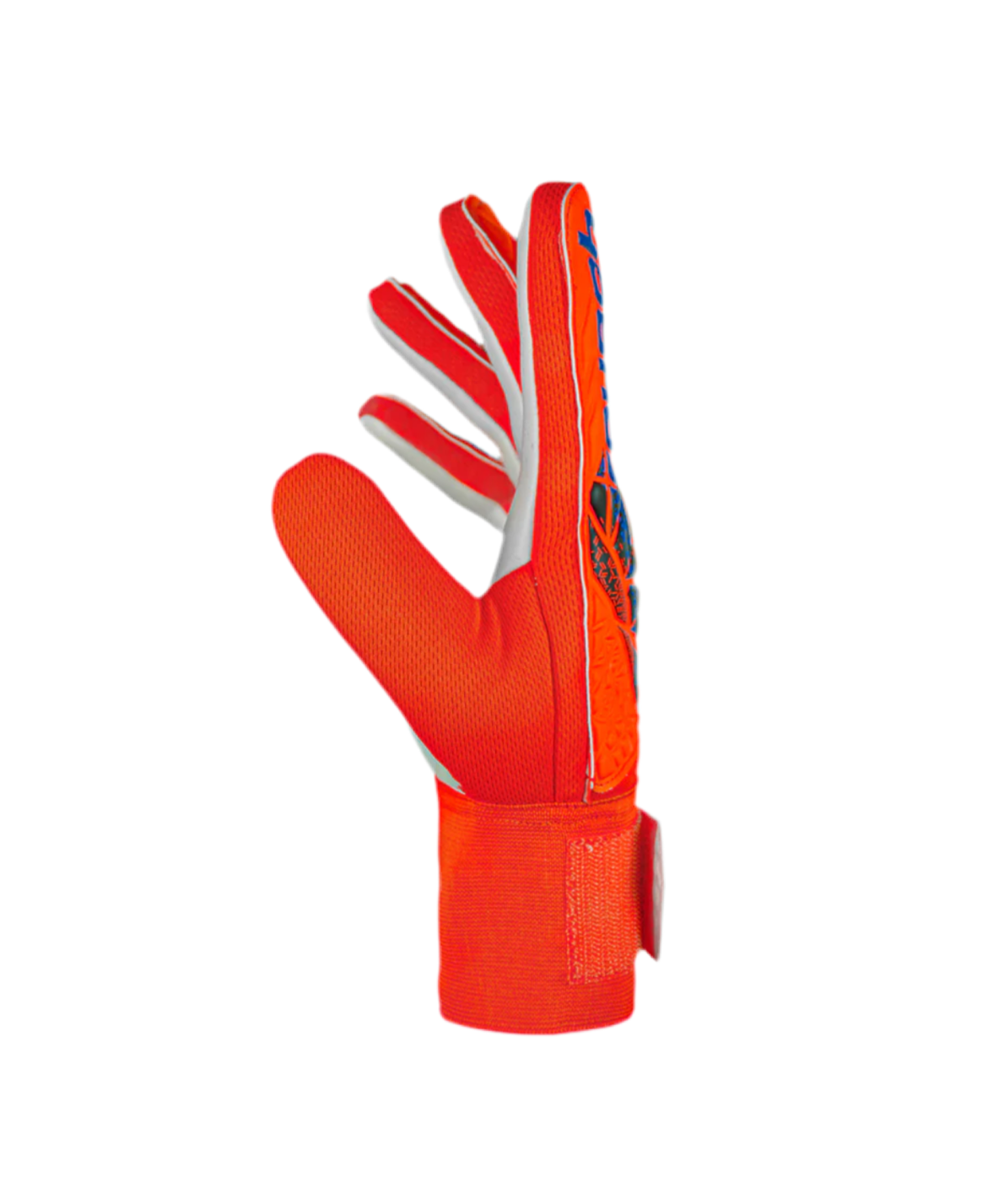 Attrakt Starter Solid Hyper Orgn / Elec Blue Juniors