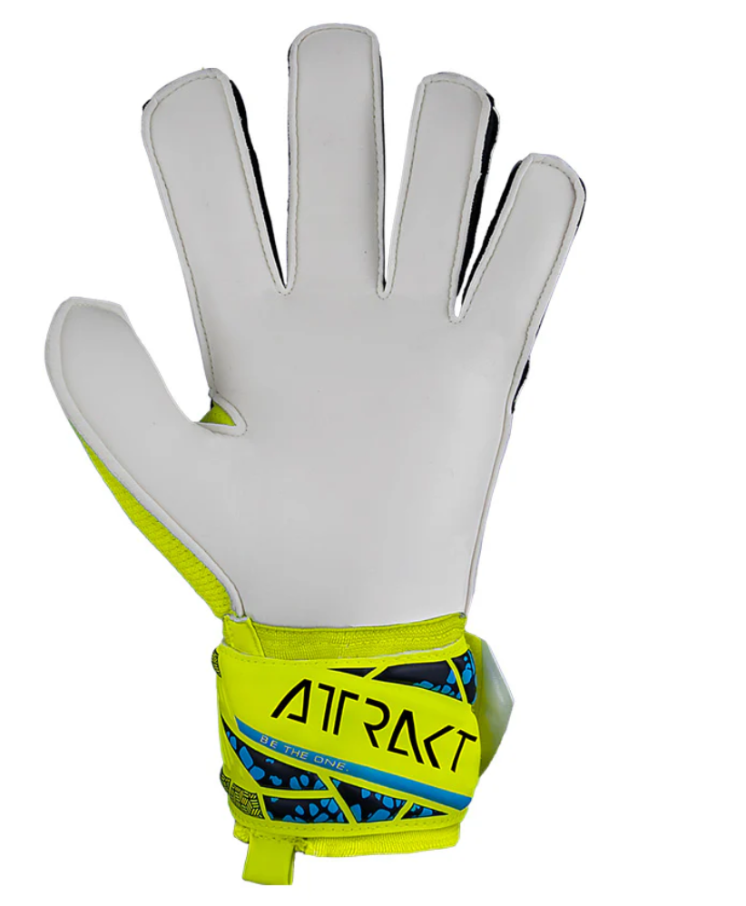 SOLID safety yellow-future blue