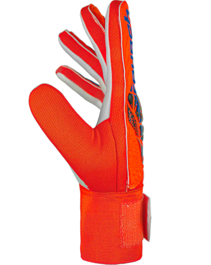 STARTER solid hyper orgn-elec blue