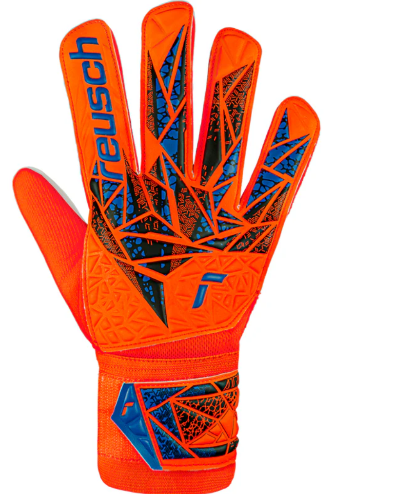 STARTER solid hyper orgn-elec blue